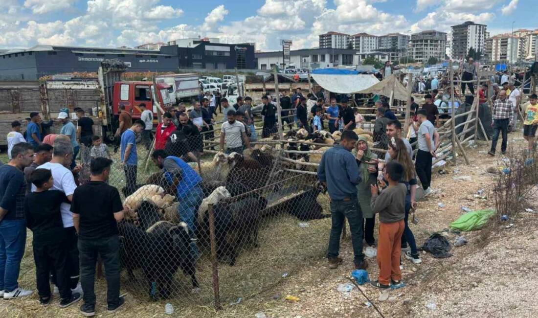 Gaziantep’te kurban pazarlarındaki yoğunluk Arefe günü had safhaya çıktı. Kurban