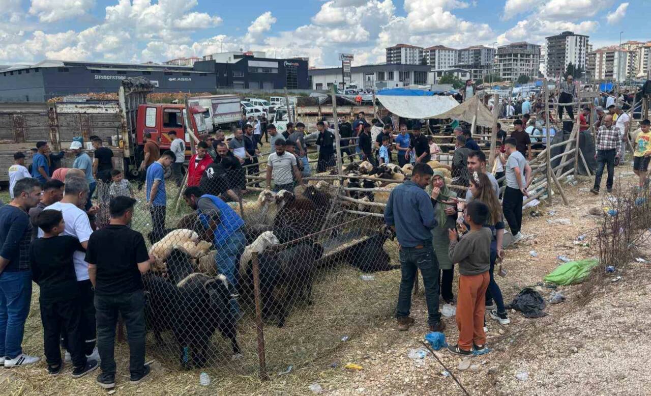 Gaziantep’te kurban pazarlarındaki yoğunluk Arefe günü had safhaya çıktı. Kurban