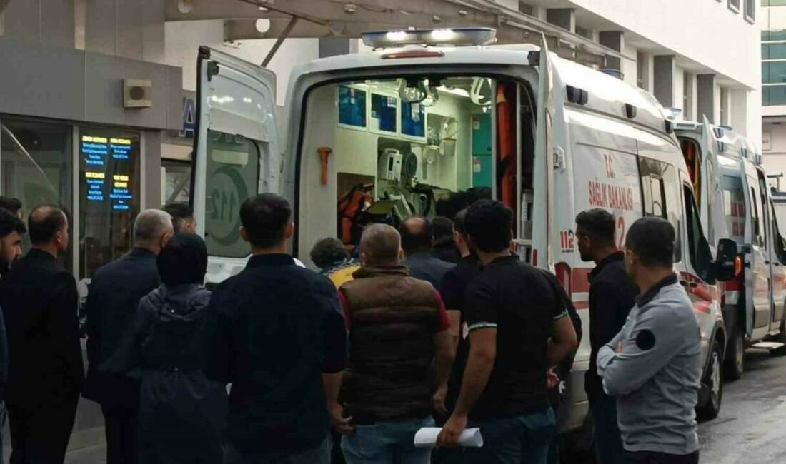 Batman’ın Beşiri ilçesinde yıldırımı isabet etmesi sonucu ağır yaralanan çoban