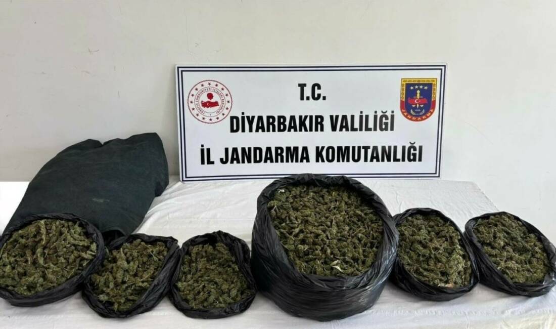 Diyarbakır’da jandarma ekiplerince düzenlenen operasyonlarda 20 kilo skunk maddesi ile