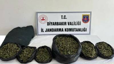 Diyarbakır’da jandarma ekiplerince düzenlenen operasyonlarda 20 kilo skunk maddesi ile