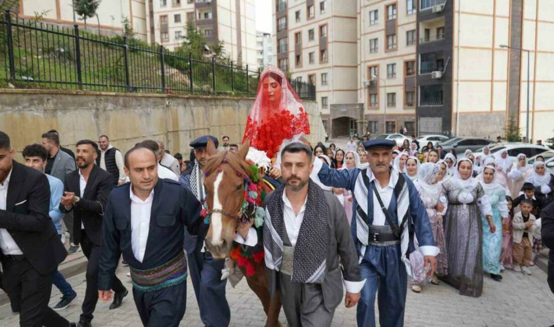 Şırnak’ta bir çift, geleneksel gelin alma ritüelini at sırtında gerçekleştirerek