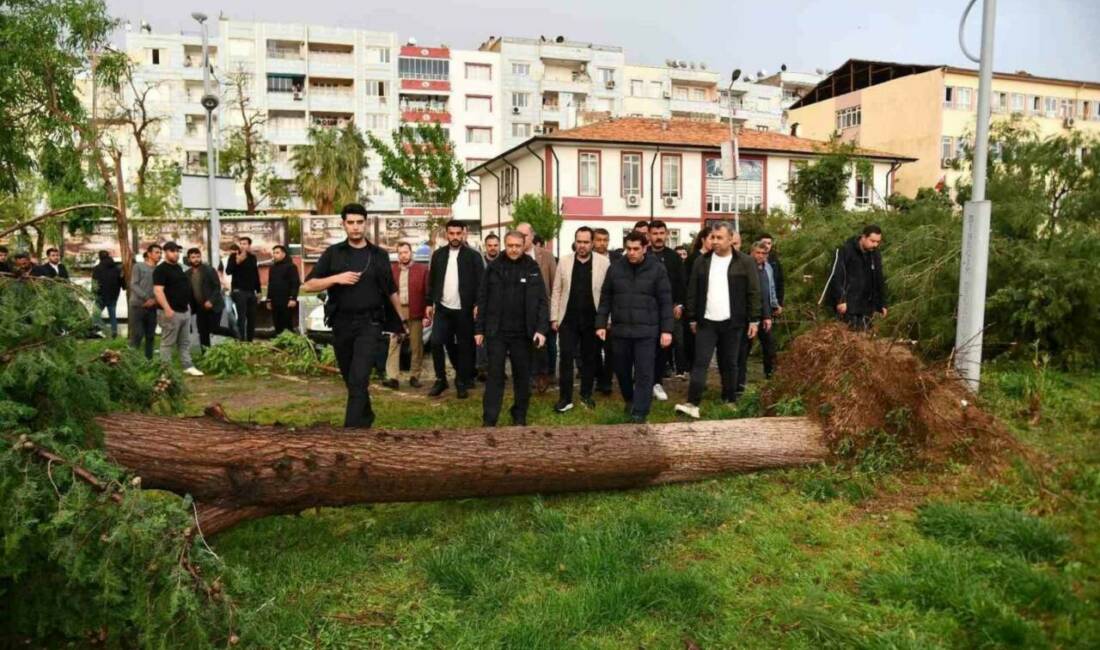 Şanlıurfa'nın Birecik ilçesinde dolu yağışı ve fırtına nedeniyle meydana gelen