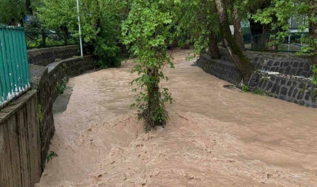 Gaziantep'te etkili olan sağanak yağış ve fırtına, ağaçların devrilmesine, binaların