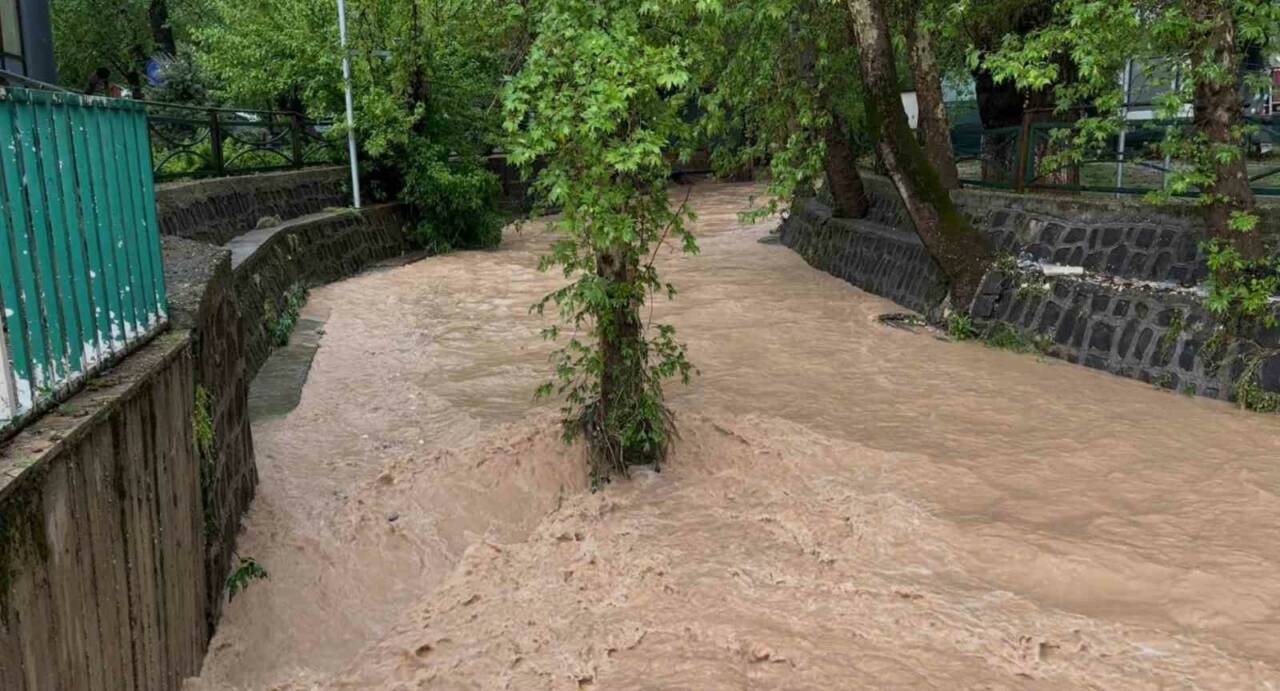 Gaziantep'te etkili olan sağanak yağış ve fırtına, ağaçların devrilmesine, binaların