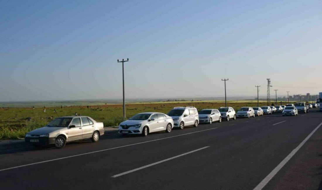Şanlıurfa’nın Siverek ilçesinde mayıs ayıyla birlikte açan gelincik tarlaları, doğaseverler