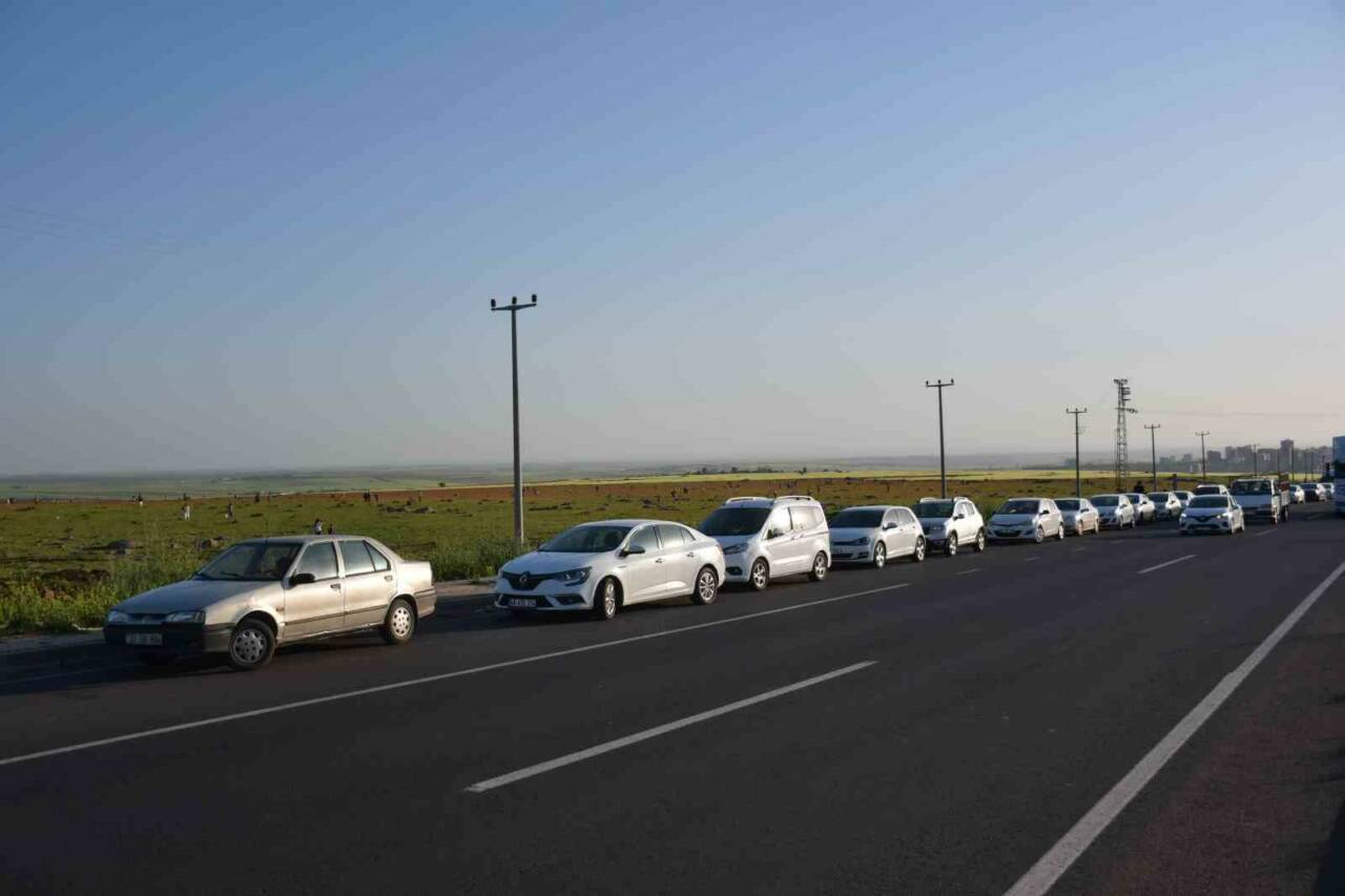 Şanlıurfa’nın Siverek ilçesinde mayıs ayıyla birlikte açan gelincik tarlaları, doğaseverler