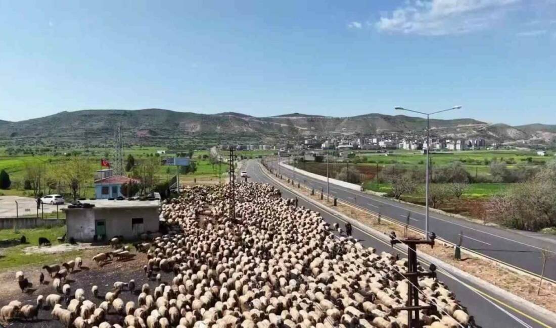 Mardin’in Nusaybin ilçesindeki kışlaklarından ayrılan göçerlerin Van, Bitlis ve Erzurum’daki