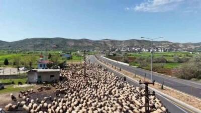Mardin’in Nusaybin ilçesindeki kışlaklarından ayrılan göçerlerin Van, Bitlis ve Erzurum’daki