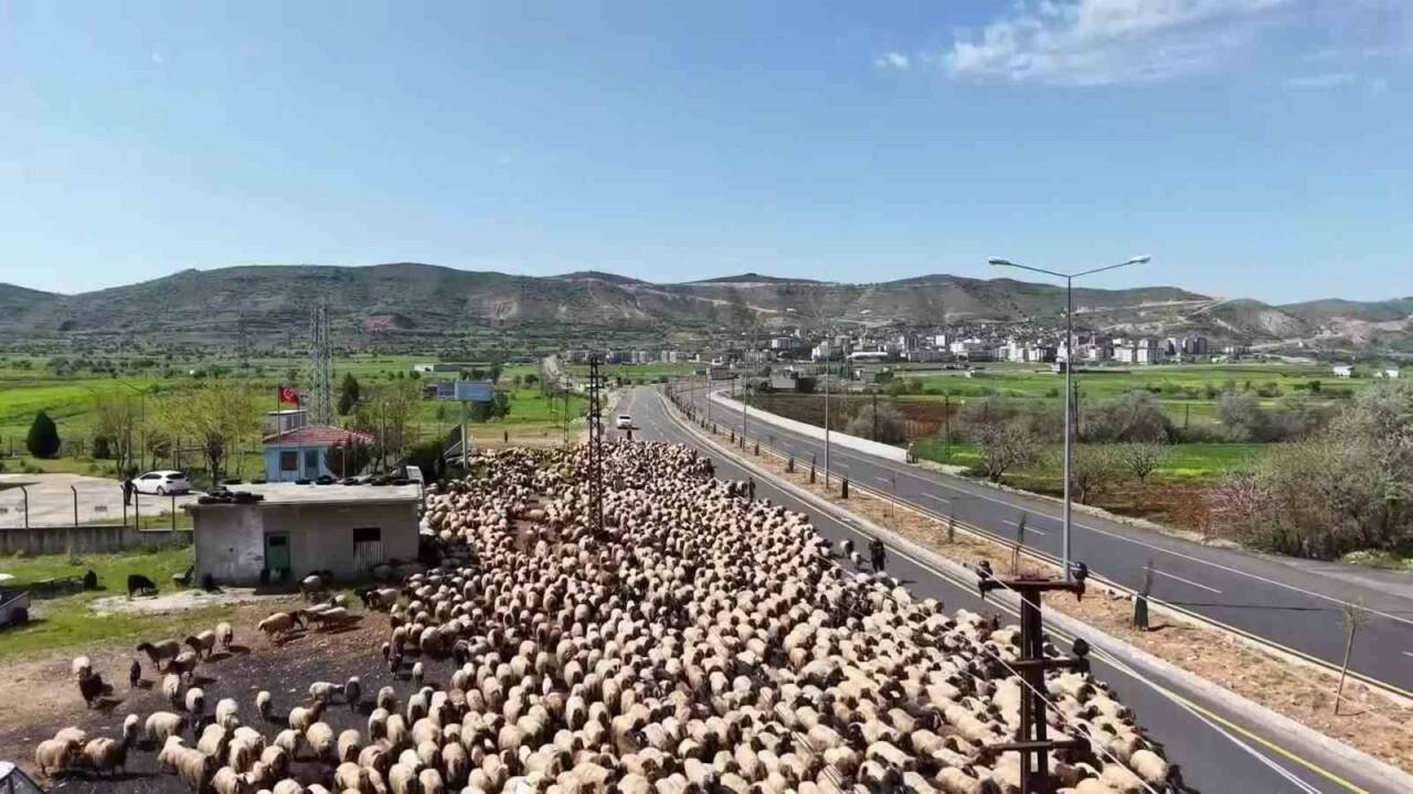 Mardin’in Nusaybin ilçesindeki kışlaklarından ayrılan göçerlerin Van, Bitlis ve Erzurum’daki