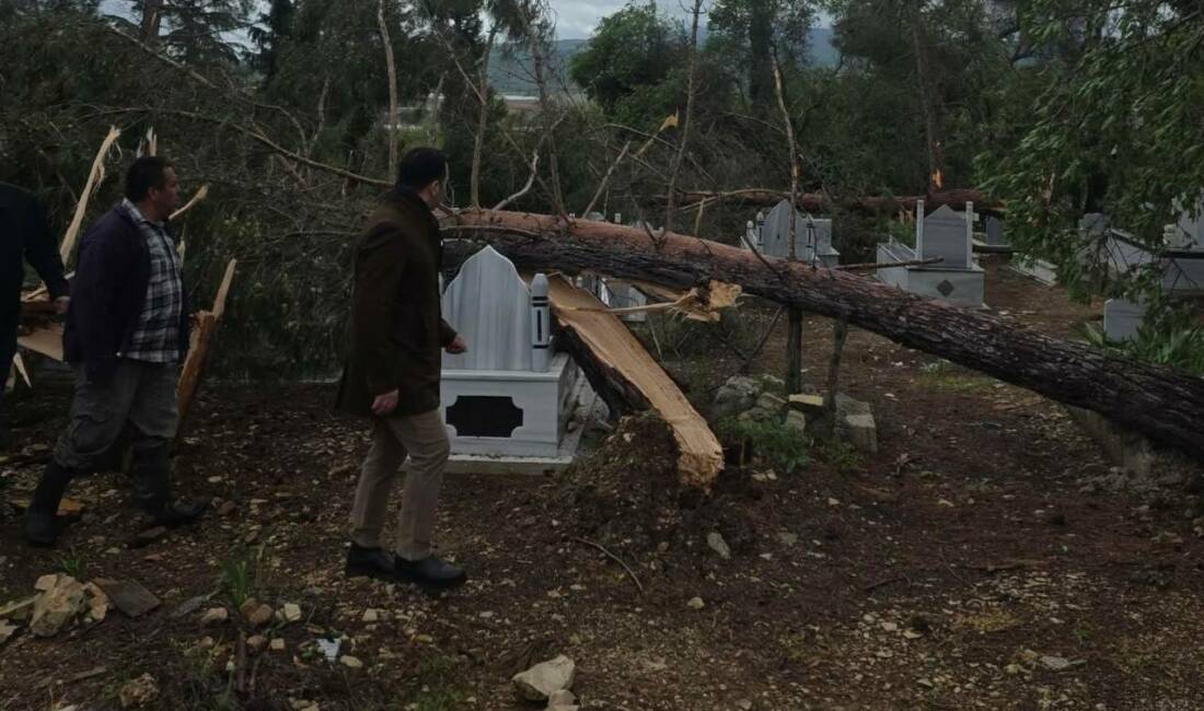 Adıyaman’ın Gölbaşı ilçesinde şiddetli fırtına nedeniyle ağaçlar devrildi.
