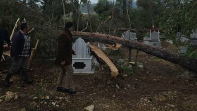 Adıyaman’ın Gölbaşı ilçesinde şiddetli fırtına nedeniyle ağaçlar devrildi.