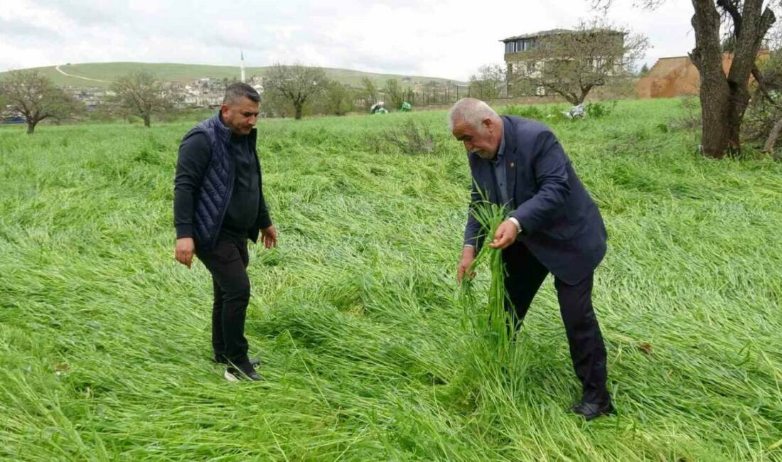 Gaziantep’te hafta sonu etkili olan ’süper hücre’ hayatı adeta felç