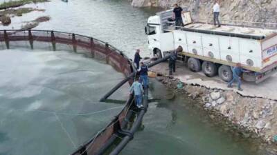 Birçok ülkeye ihraç edilen ‘Türk somonu’nu yetiştirmek için Adıyaman’ın Çelikhan