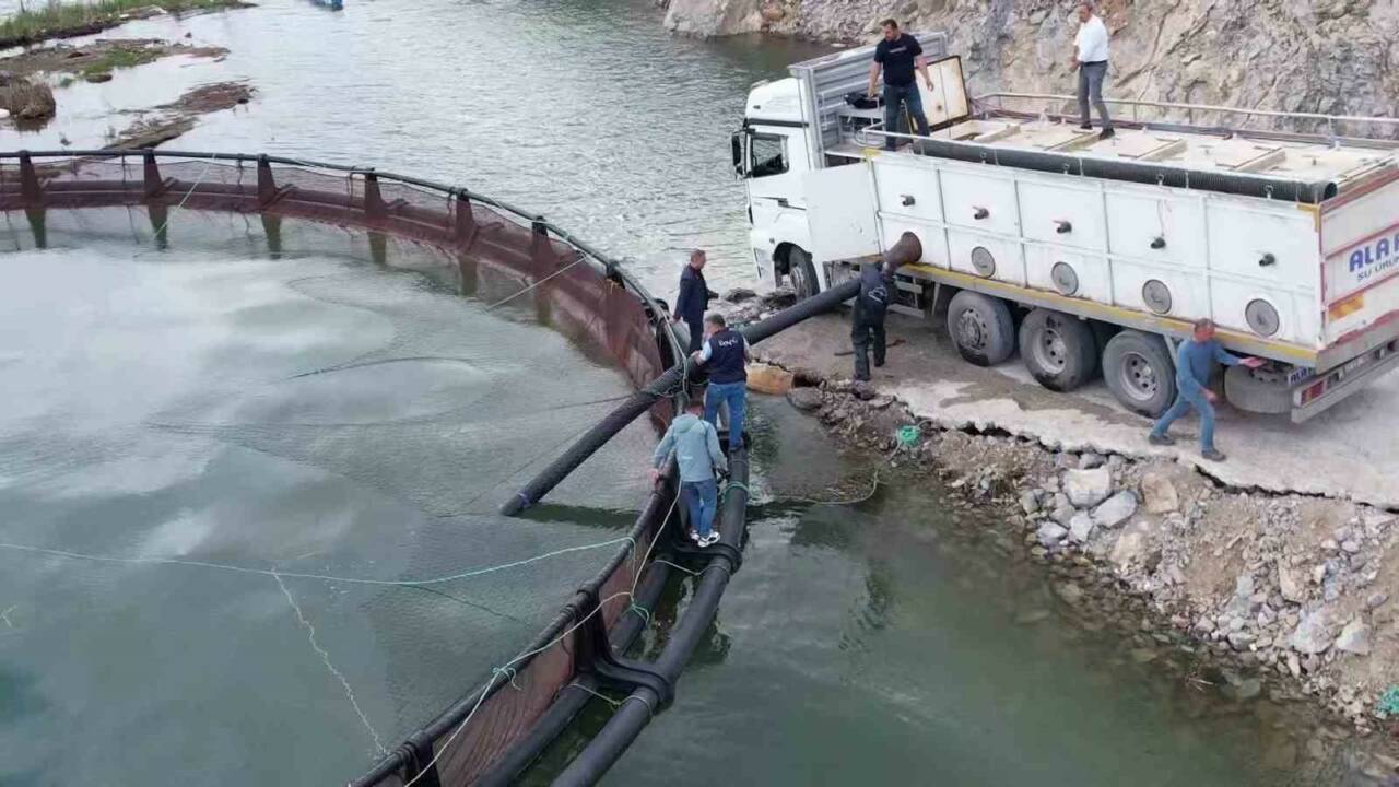 Birçok ülkeye ihraç edilen ‘Türk somonu’nu yetiştirmek için Adıyaman’ın Çelikhan