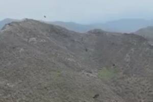 Şırnak'ın Uludere ilçesindeki Şenoba beldesinde bir çoban, kartalın domuz yavrusunu