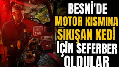 Besni Kartal Kavşağı civarında bir aracın motor bölümüne sıkışan kedi,