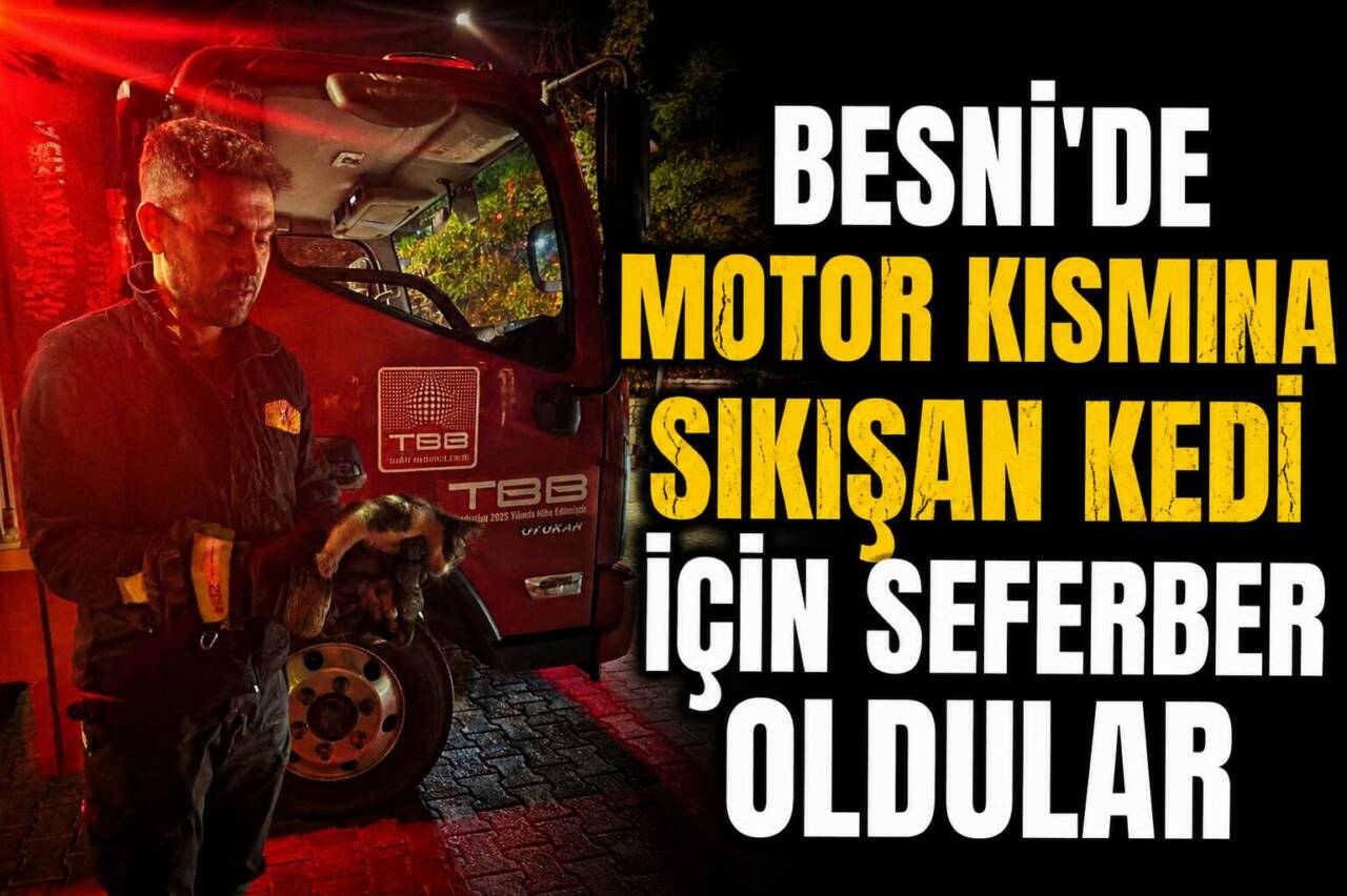 Besni Kartal Kavşağı civarında bir aracın motor bölümüne sıkışan kedi,