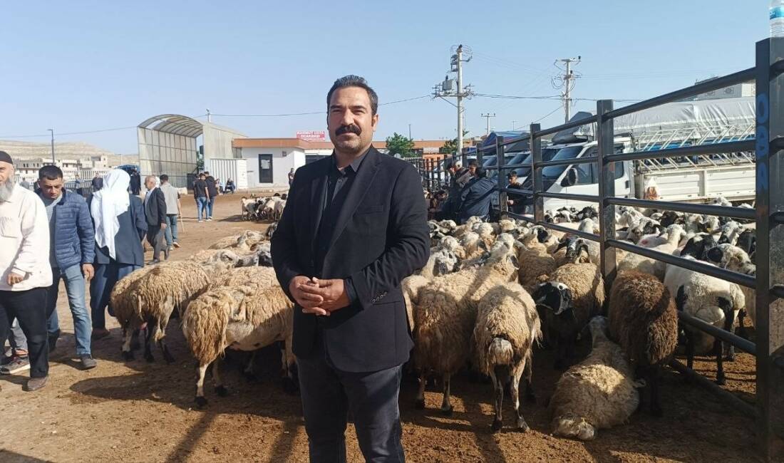 Şanlıurfa'daki hayvan pazarında kurbanlık yoğunluğu artarken, fiyatların yüksekliği ve alıcıların