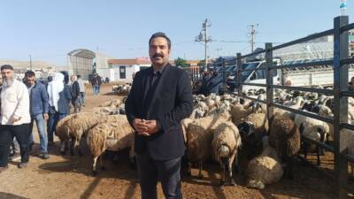 Şanlıurfa'daki hayvan pazarında kurbanlık yoğunluğu artarken, fiyatların yüksekliği ve alıcıların