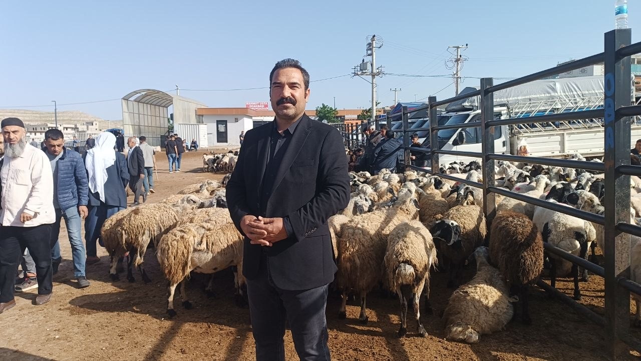 Şanlıurfa'daki hayvan pazarında kurbanlık yoğunluğu artarken, fiyatların yüksekliği ve alıcıların