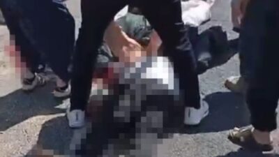 Şanlıurfa’nın Birecik ilçesinde, kurbanlık koyun yüklü kamyonettin devrilmesi sonucu sürücü