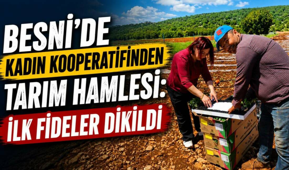 Bethesna Kadın Girişimi Üretim ve İşletme Kooperatifi, Besni’de domates üretimi