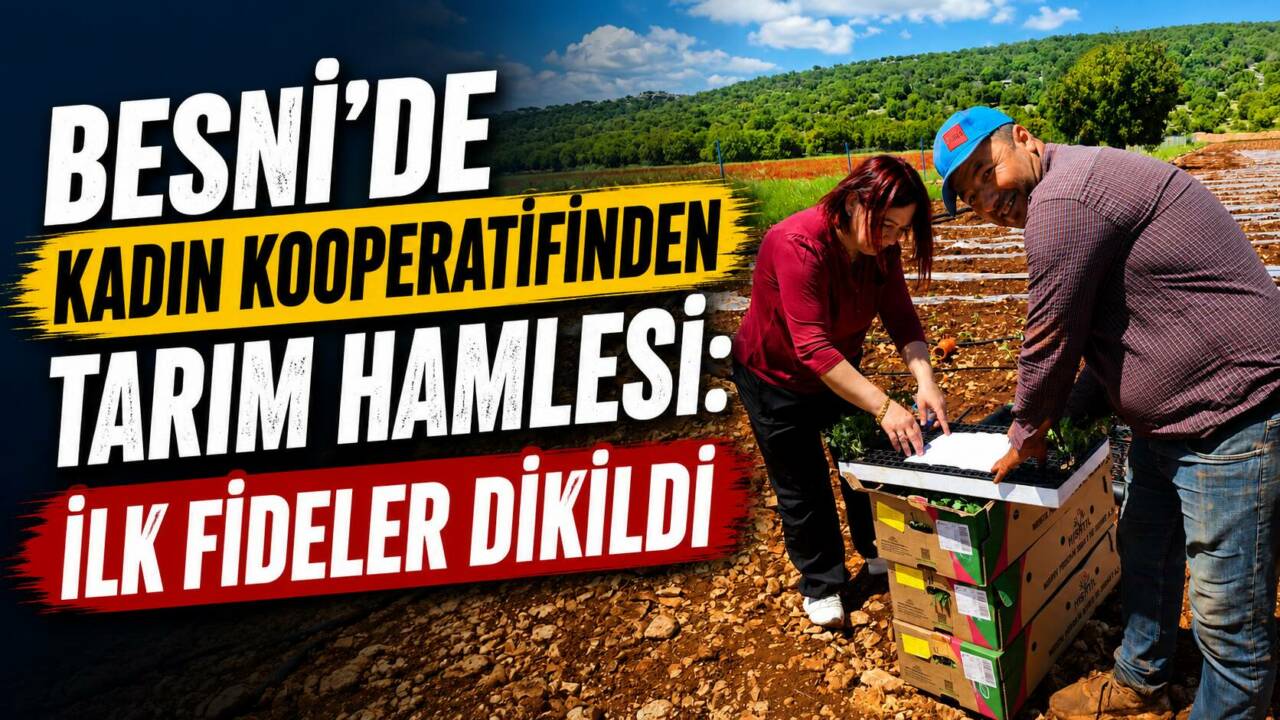 Bethesna Kadın Girişimi Üretim ve İşletme Kooperatifi, Besni’de domates üretimi