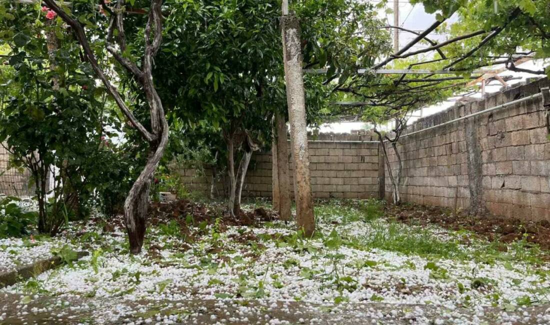 Mardin’in Nusaybin ilçesinde kısa süreli dolu yağışı etkili oldu.