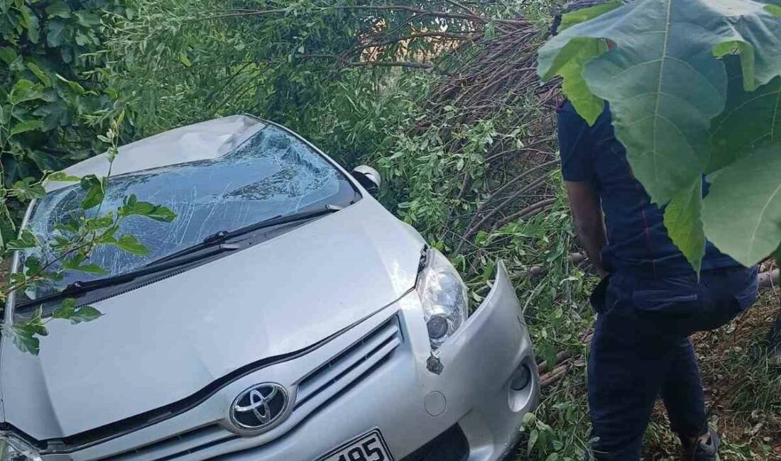 Mardin'in Nusaybin ilçesinde bir otomobilin şarampole devrilmesi sonucu 2 kişi