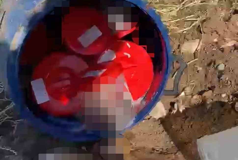 Plastik kutularda 21 cenin bulundu Şanlıurfa’da mezarlıkta bir bidonun içerisindeki plastik kutularda 21 cenin bulundu.