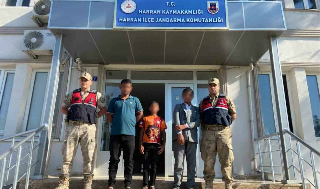 Şanlıurfa'nın Harran ilçesinde kaybolan 12 yaşındaki A.B. ve 9 yaşındaki