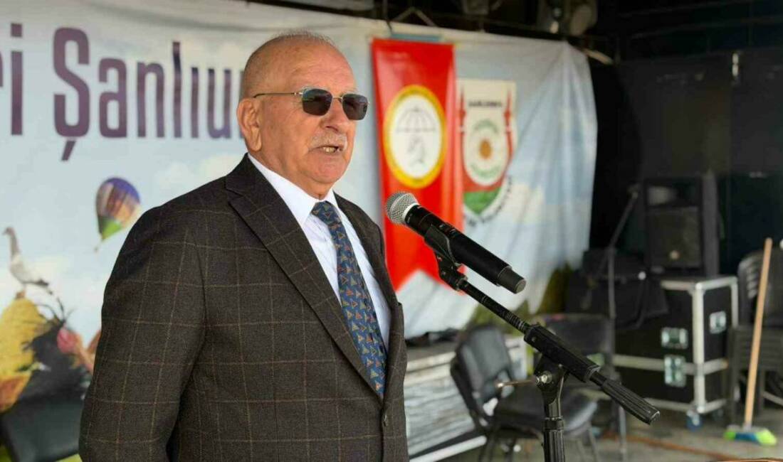 Şanlıurfa'nın Siverek ilçesinde düzenlenen Bayiki Kültür ve Sanat Festivali, Türkiye'nin