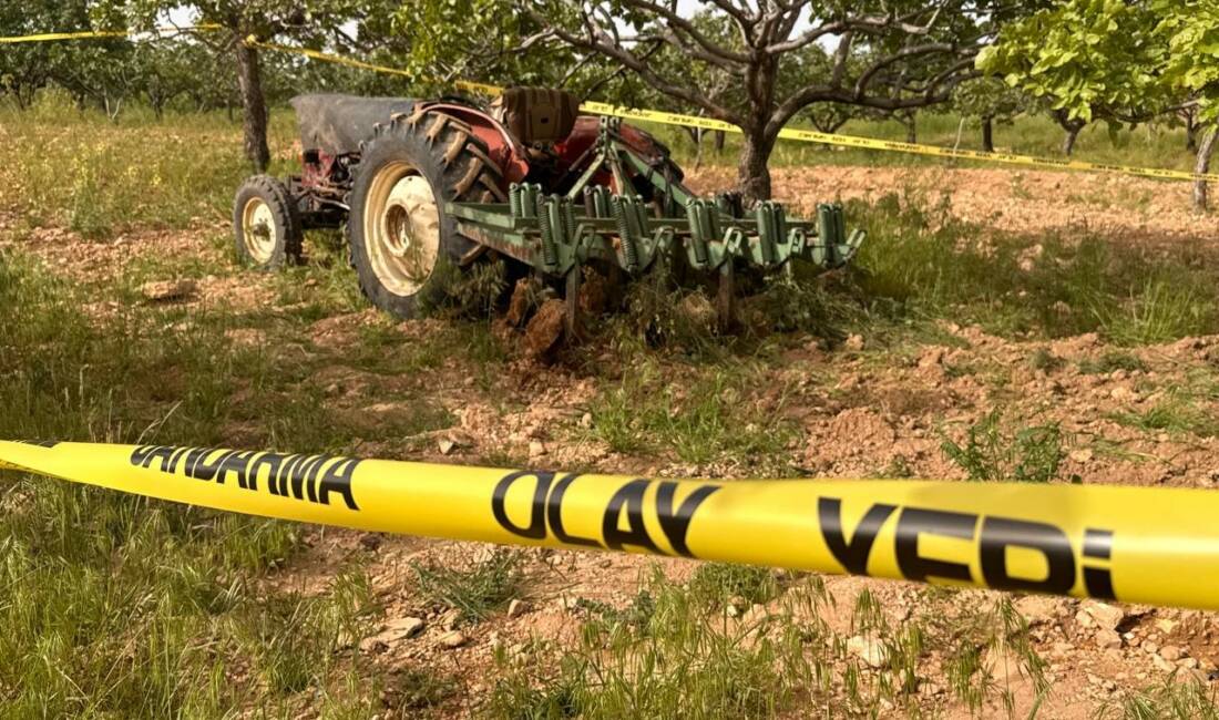 Şanlıurfa’nın Suruç ilçesinde traktör ile fıstık bahçesini sürmeye giden çiftçi