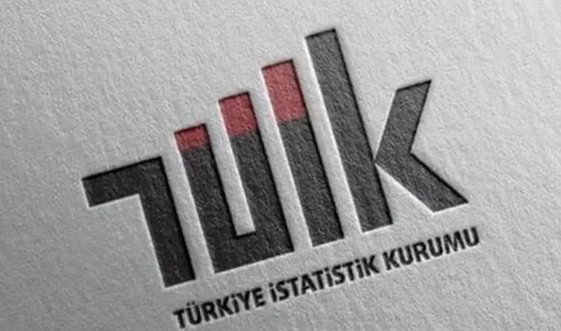 TÜİK verilerine göre nisan ayının zam şampiyonu, yüzde 44,47 artışla