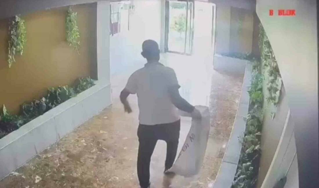 Şanlıurfa'da bir kadın, beslediği 3 yavru kedinin kaybolmasının ardından güvenlik