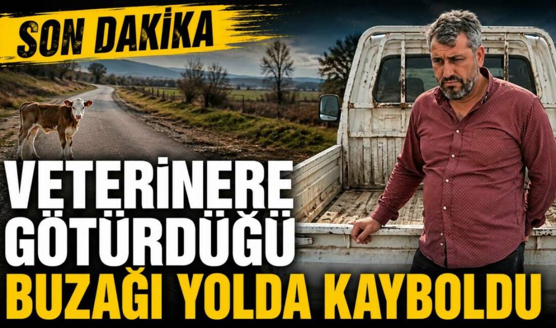 Diyarbakır'ın Çermik ilçesinde, besici Mesut Karapolat, veterinere götürdüğü buzağasının kamyonetten