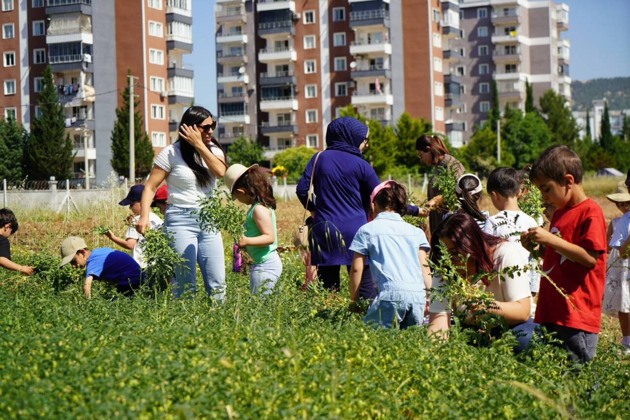 Adıyaman Belediyesi’nin Yeni Mahalle’de bulunan 10 dönümlük organik sebze bahçesinde