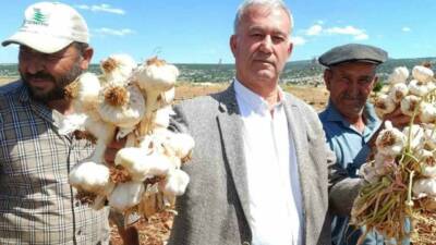 Gaziantep’in Araban ilçesinde Avrupa Birliği (AB) ve coğrafi işaret tescilli