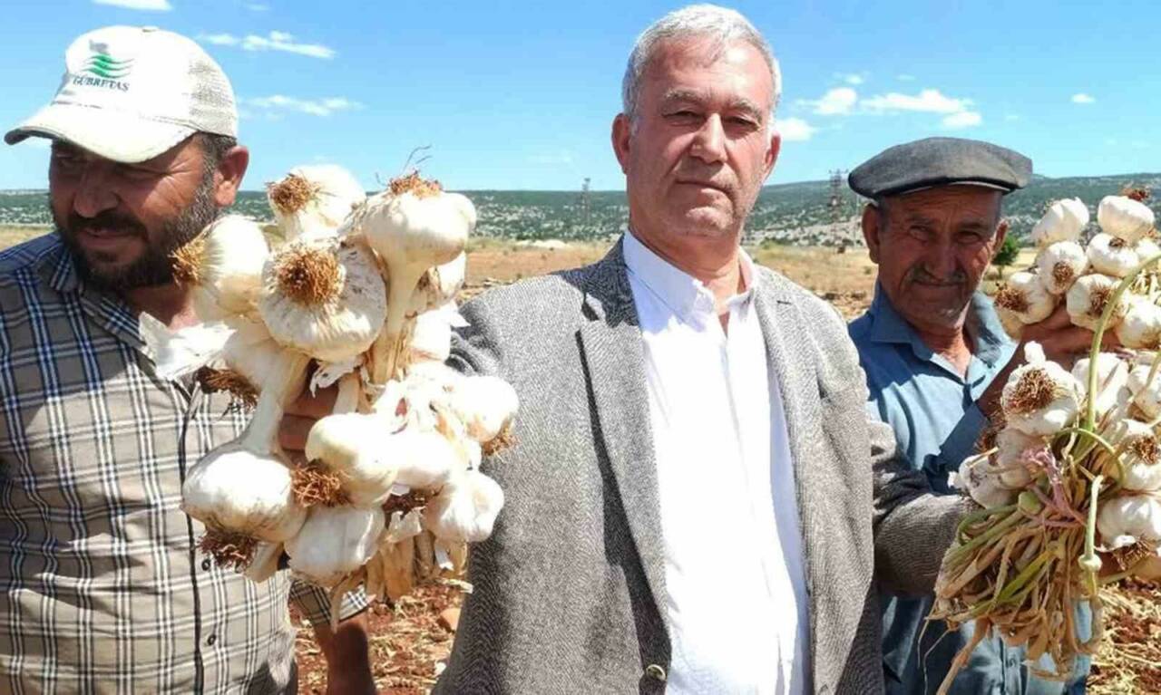 Gaziantep’in Araban ilçesinde Avrupa Birliği (AB) ve coğrafi işaret tescilli