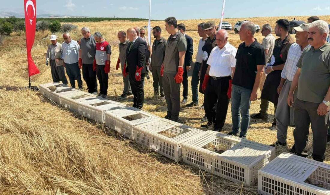 Doğa Koruma Milli Parklar Adıyaman Müdürlüğü tarafından ekolojik dengeyi sağlaması