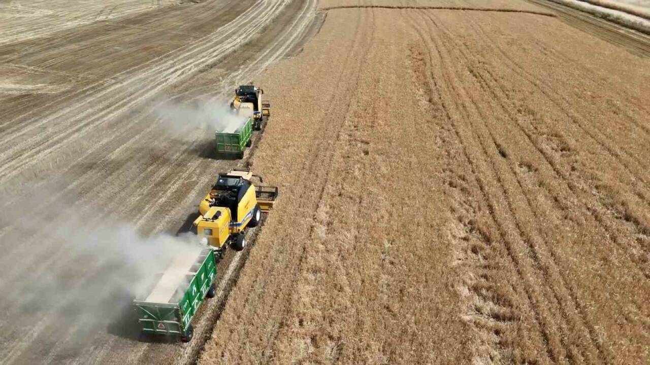Adıyaman’da yaklaşık 1 milyon dekarlık alanda ekilen buğday ve arpanın