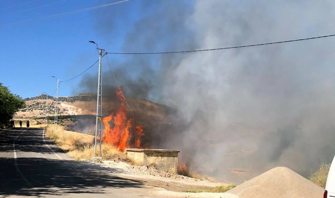 Adıyaman’da elektrik akımına kapılarak alev alan karga bahçe yangınına neden