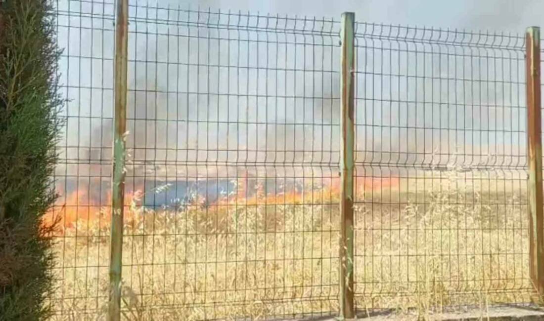 Şanlıurfa’nın Haliliye ilçesinde arazide çıkan anız yangını Görme Engelliler İlk