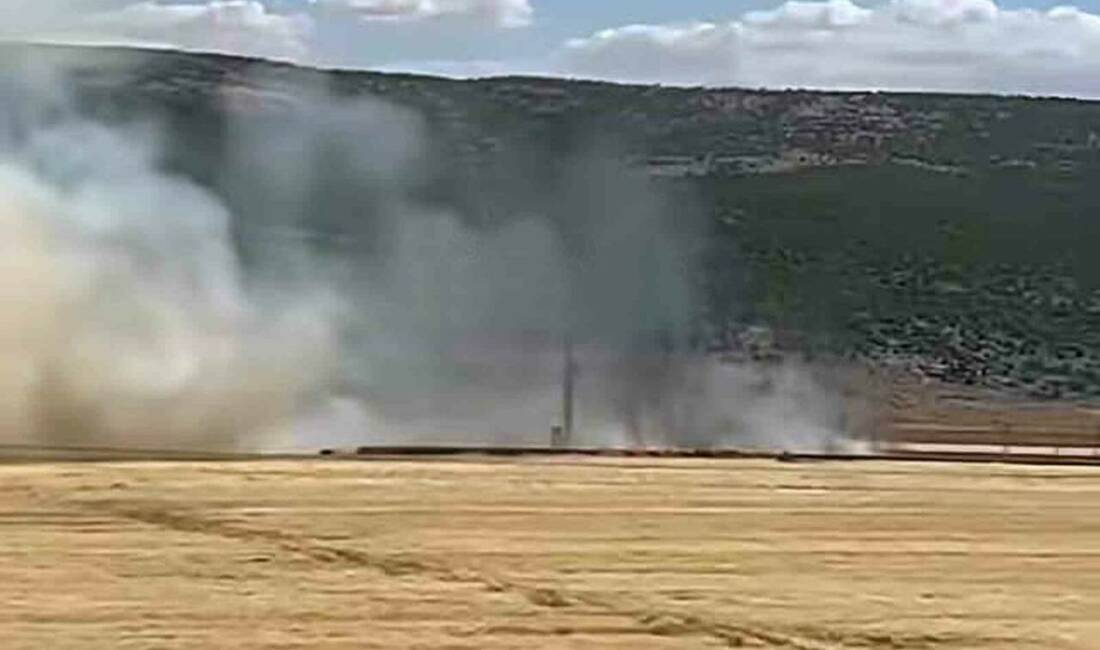 Araban Ovası’nda hasada hazır 93 dönüm buğday kül oldu Gaziantep’in Araban ilçesinde, 93 dönümlük hasada hazır buğday tarlasında çıkan