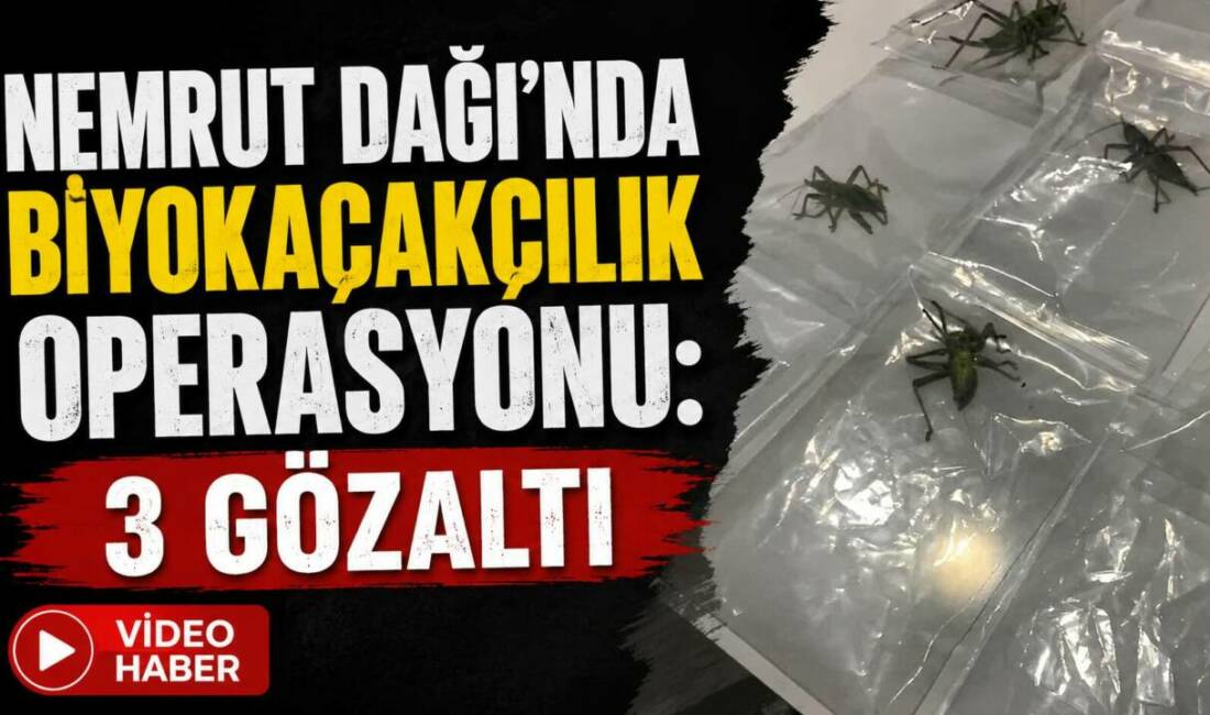 Adıyaman’daki Nemrut Dağı’nda yasa dışı yollarla çekirge topladıkları belirlenen 3