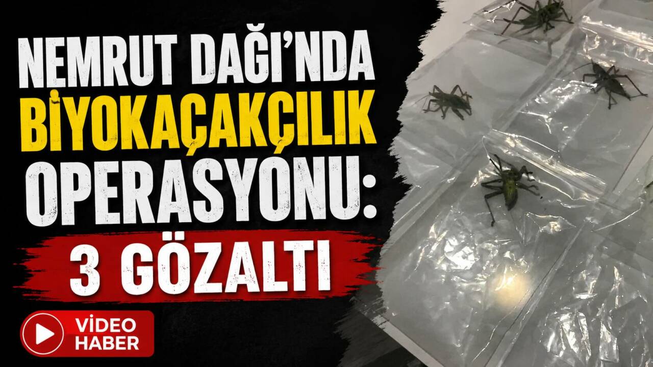Adıyaman’daki Nemrut Dağı’nda yasa dışı yollarla çekirge topladıkları belirlenen 3