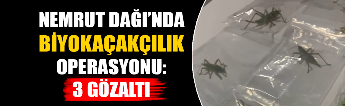 Adıyaman’daki Nemrut Dağı’nda yasa dışı