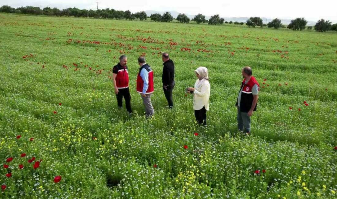 Adıyaman’da son yıllarda yaşanan zirai don ve kurak geçen mevsimler