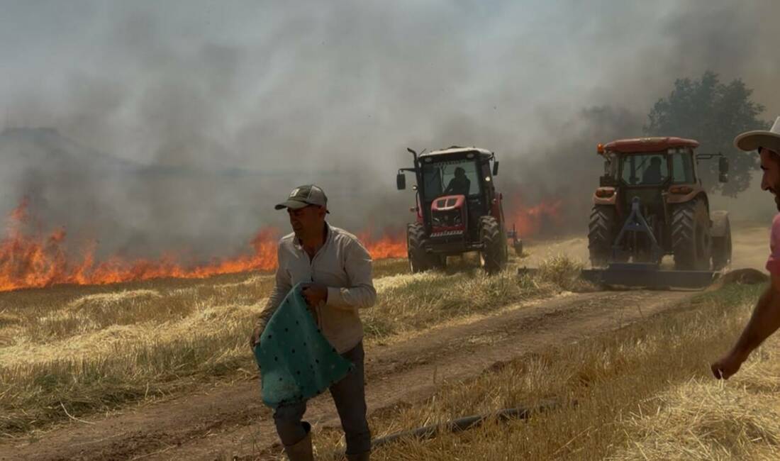 Mardin’in Mazıdağı ilçesinde tarlada çıkan yangın, çiftçilerin erken müdahalesiyle büyümeden